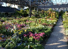 �c�@���A���@�X���}�b�v