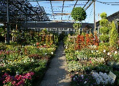 �c�@���A���@�X���}�b�v