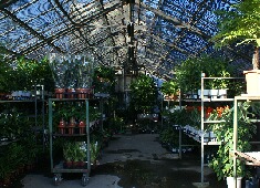 �ϗt�����@�X���}�b�v