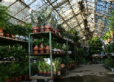 �ϗt�����@�X���}�b�v