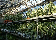 �ϗt�����@�X���}�b�v