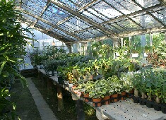 �ϗt�����@�X���}�b�v