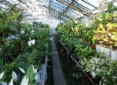 �n�E�X�@�����@�X���}�b�v