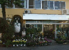 �ԁ@�����@�X���}�b�v