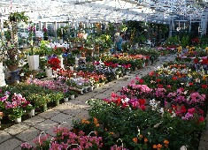 �ԁ@�����@�X���}�b�v