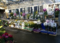 �ԁ@�����@�X���}�b�v