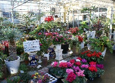 �ԁ@�����@�X���}�b�v