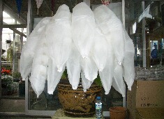 �����@�ԃP�[�X�i�Ӓ����@�����i�P�j