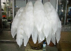 �Ӓ����@�����i