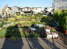 �c�@�P�[�X����@�X���}�b�v