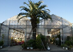 �ԁ@���A�@�X���}�b�v