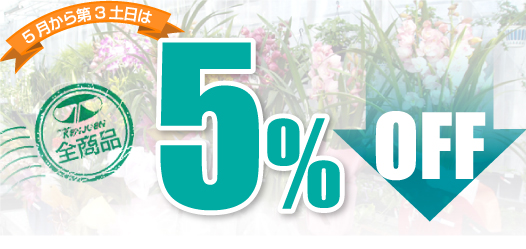 5�������3�y���͑S���i5%OFF