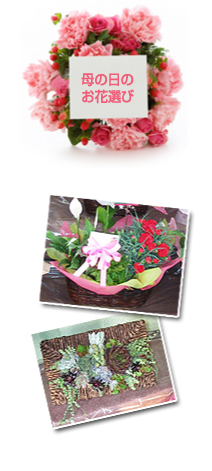 ��̓��̂��ԑI��